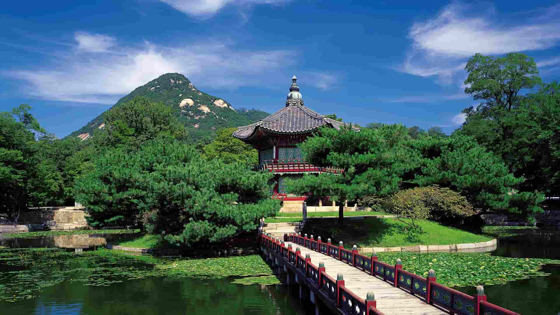 原平兼职项目大全：轻松在家赚钱的秘密
