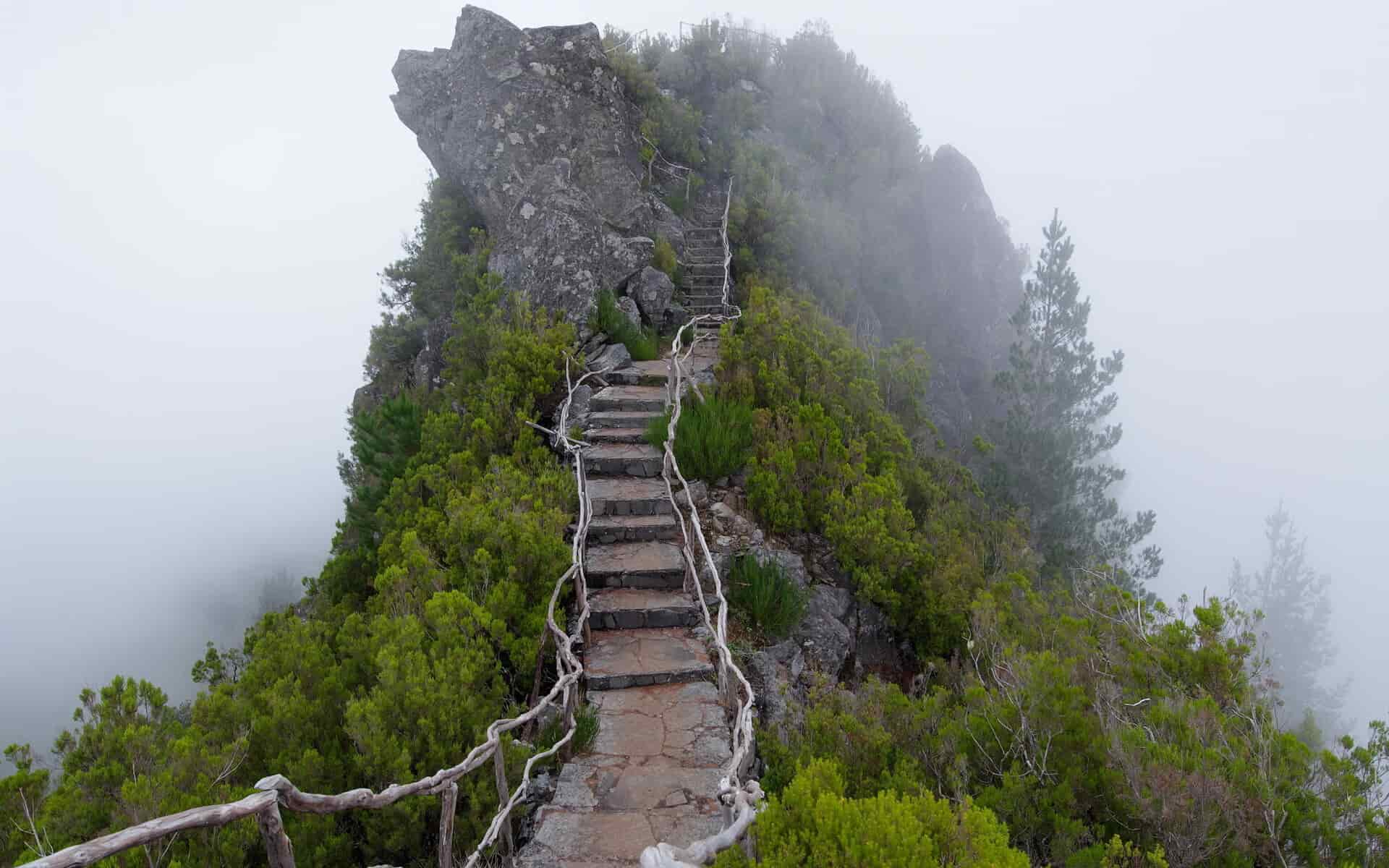 靠谱副业项目进货批发基地，新手也能轻松上手
