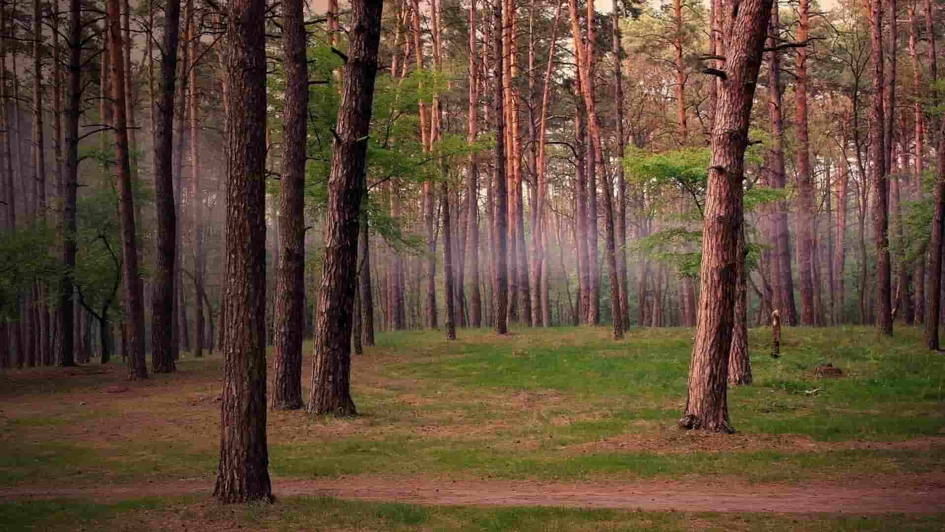 西瓜视频开车旅游赚钱吗,西瓜视频旅游短视频，如何轻松赚取额外收入？