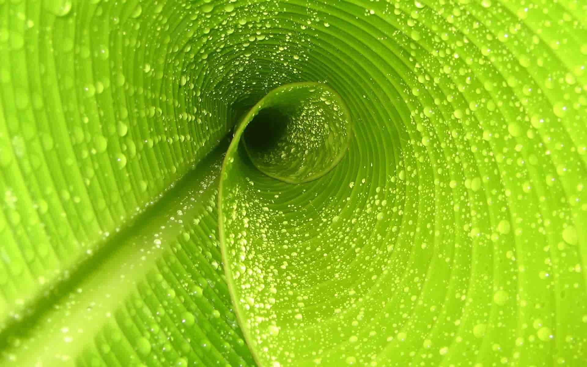 边摆摊边炒菜赚钱吗视频,“街头摊贩双重技能：摆摊炒菜，一招两得，赚钱秘诀大公开！”