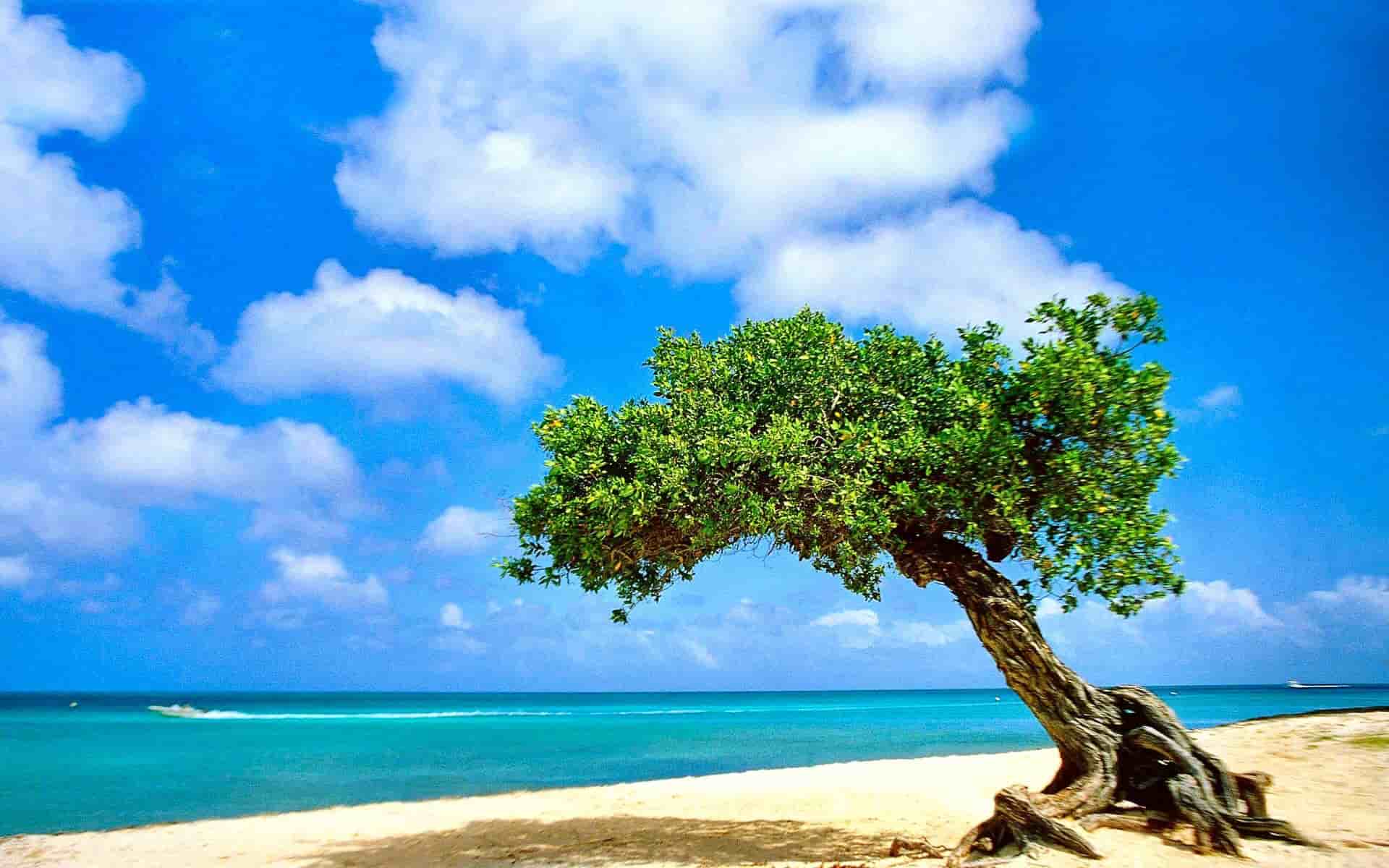 账号测评直播赚钱吗,“揭秘：直播账号测评，能否开启赚钱新篇章？！”