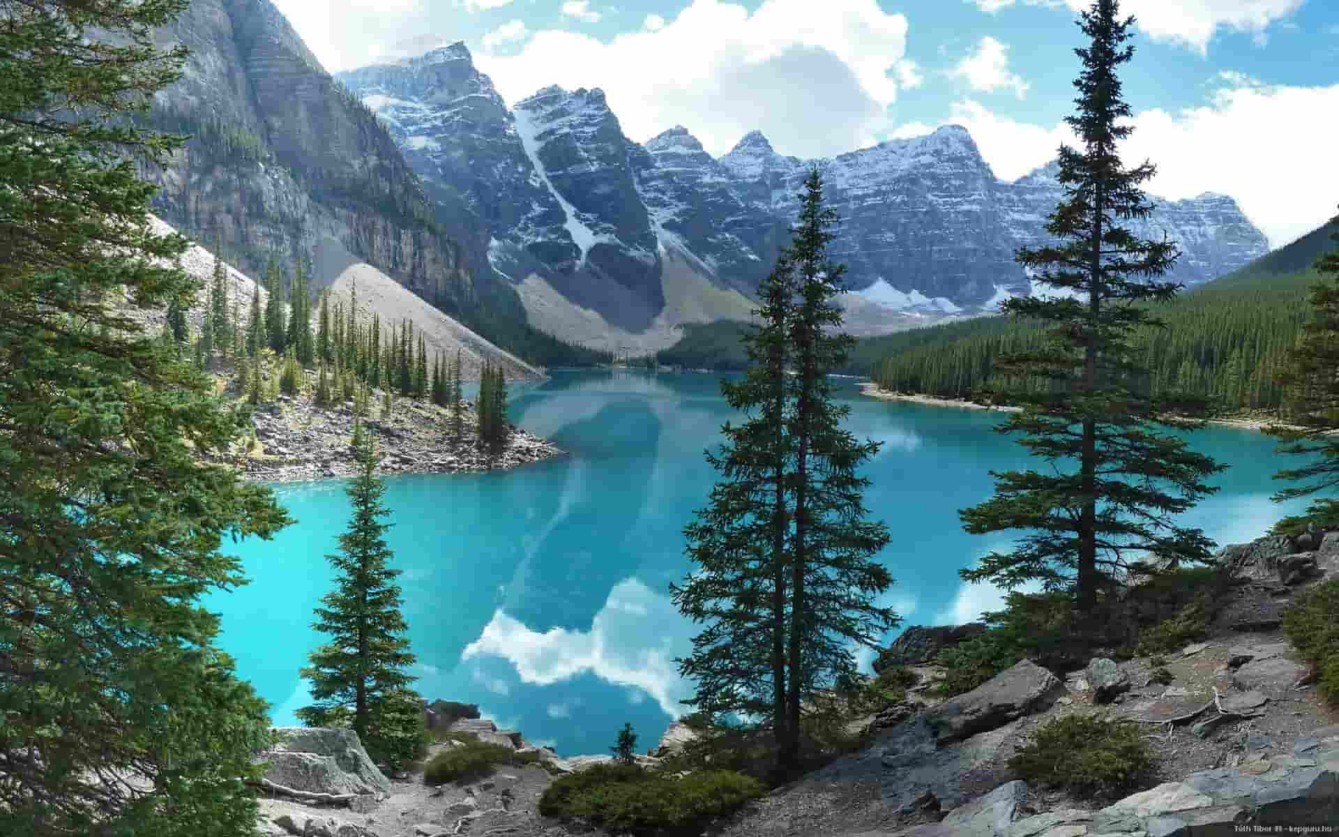 freepic真的能赚钱吗,freepic平台，真的能让你轻松赚钱吗？