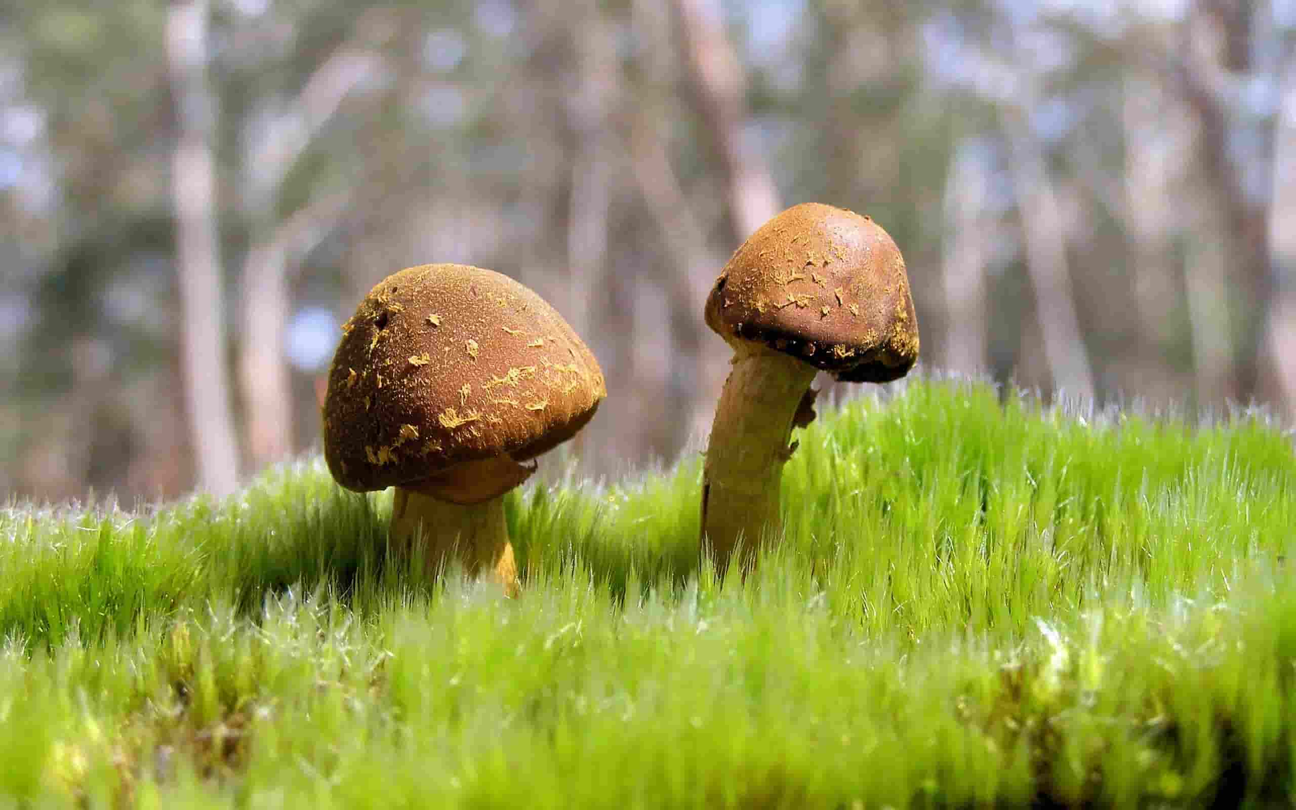 拍剪辑视频能赚钱吗,短视频剪辑：如何开启你的赚钱新途径？