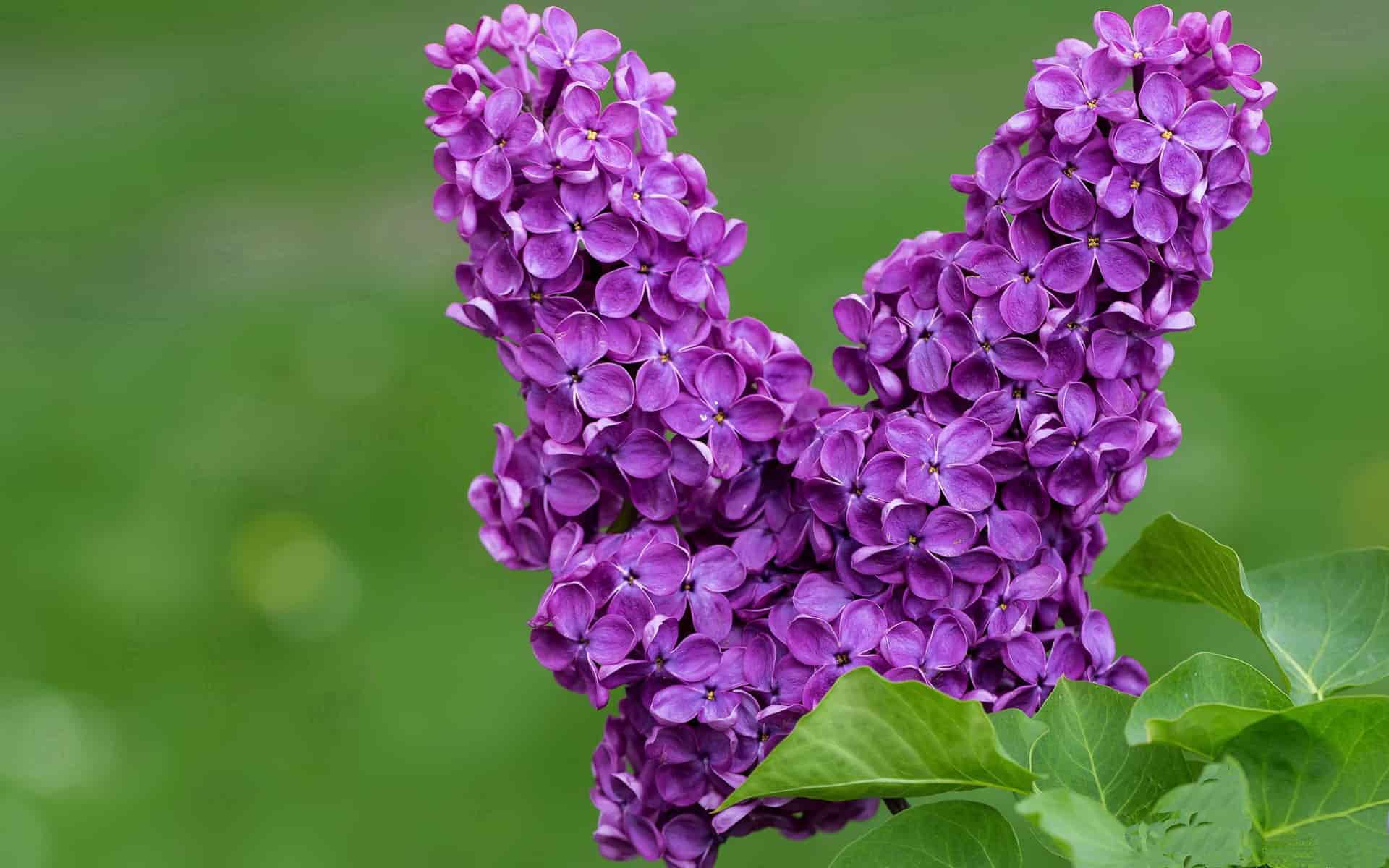 苹果手机差价赚钱吗,“苹果手机差价：揭秘如何轻松赚钱？”