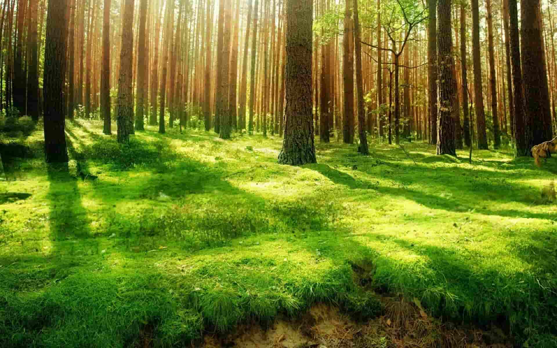 给人算命赚钱违法吗视频,算命敛财？揭秘给人算命是否违法的真相！