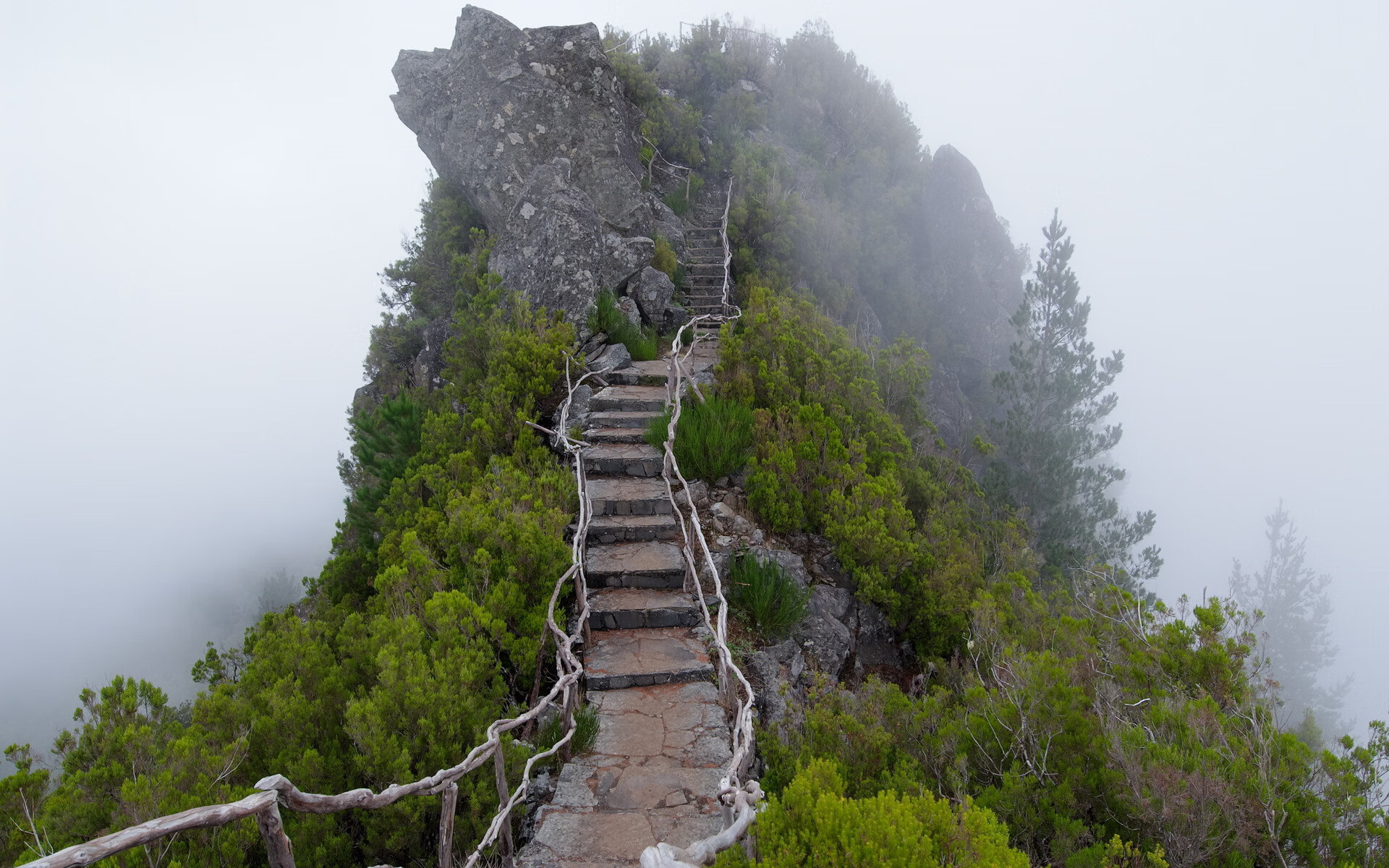 淘宝卖旺季水果赚钱吗,淘宝旺季水果热销，盈利空间大不大？揭秘水果电商掘金术！