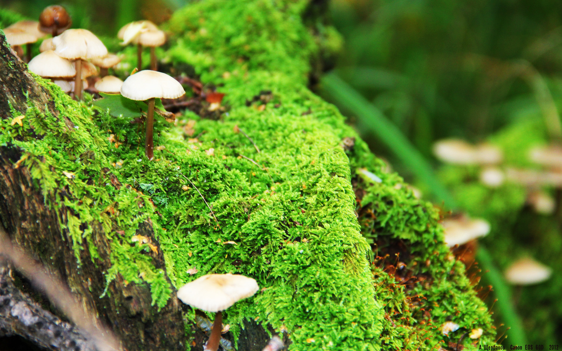 种草软件赚钱吗是真的吗,揭秘：种草软件真的能赚钱吗？内幕大揭秘！