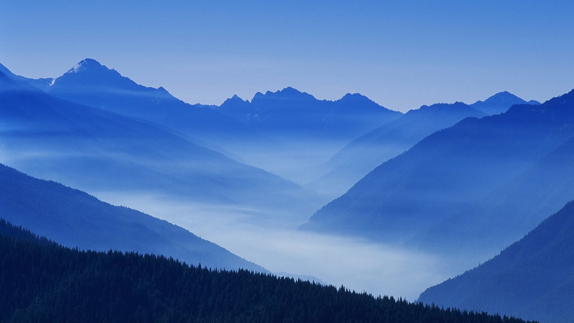 明星学习副业赚钱吗,明星搞副业真能赚？💰揭秘＂钱景＂与门道