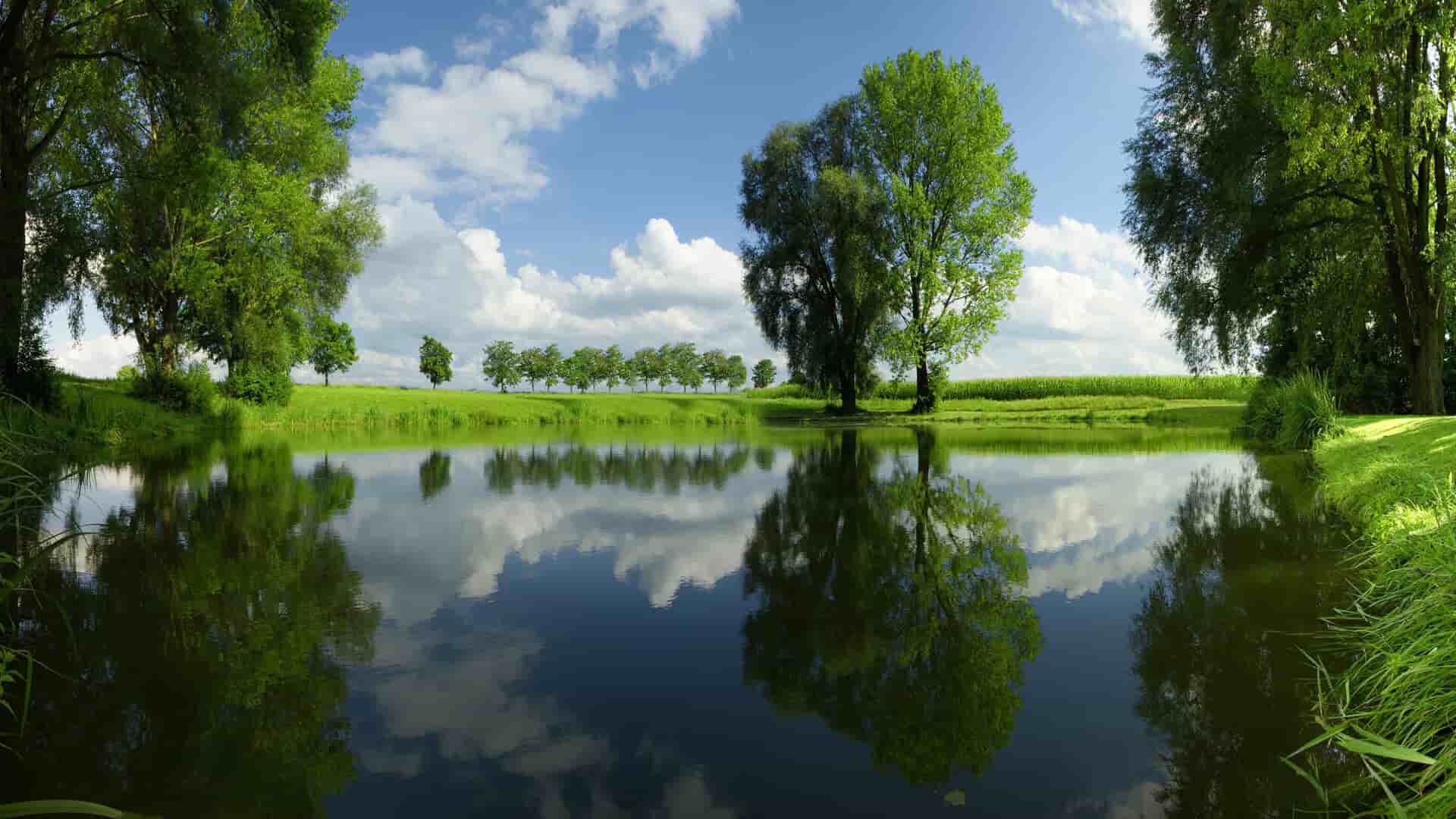 农业的兼职创业项目有哪些_🌾农业兼职新蓝海：零成本创收好项目推荐！