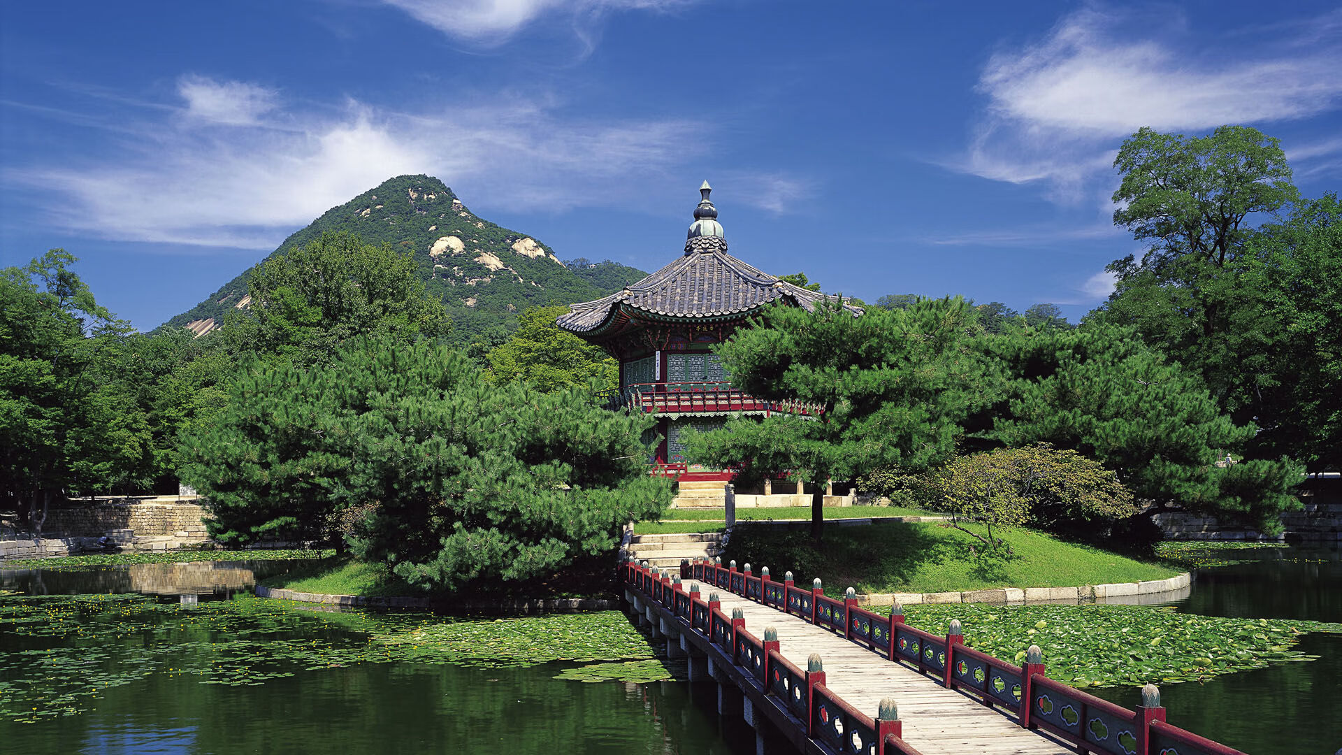 老师种菜副业赚钱吗(“老师种菜副业月入过万？🌱揭秘课堂外的‘绿色经济’💰”)